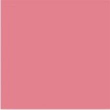 ALGS-8 | Pink Large Solid Labels Ames Size 1-7/8H x 1-7/8W Unlaminated 500/Box 
