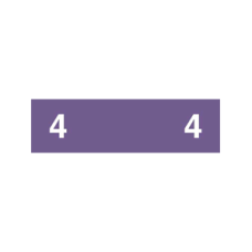 AMN12-4 | Purple #4 Ames Color File 1/2H x 1-3/4W Unlaminated 1000/Box