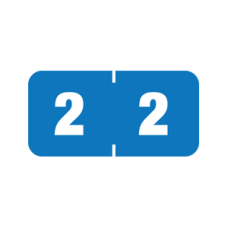 AMSN-2 | Blue #2 Ames Color File 3/4H x 1-1/2W Laminated 1000/Box