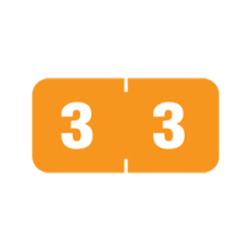 AMSN-3 | Orange #3 Ames Color File 3/4H x 1-1/2W Laminated 1000/Box