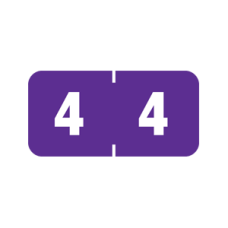 AMSN-4 | Purple #4 Ames Color File 3/4H x 1-1/2W Laminated 1000/Box