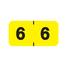 AMSN-6 | Yellow #6 Ames Color File 3/4H x 1-1/2W Laminated 1000/Box