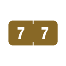 AMSN-7 | Brown #7 Ames Color File 3/4H x 1-1/2W Laminated 1000/Box