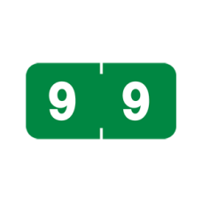 AMSN-9 | Green #9 Ames Color File 3/4H x 1-1/2W Laminated 1000/Box