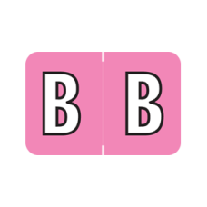 ARAM-B | Pink B  Amerifile Alpha Labels