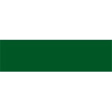 ASMS-9 | Green Small Solid Labels Ames Size 1/2H x 1-3/4W Unlaminated 1000/Box