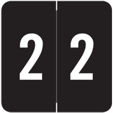 AVN-2 | Black #2 Labels Acme Visible Numeric Series Size 1-1/2H x 1-1/2W 500/Box