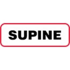 XSUP | SUPINE Label, Sz 1/2 X 1-1/2, Printed Black with Red Border, 1000/bx