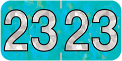 2021 Year Labels