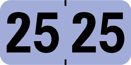 2025 Year Labels